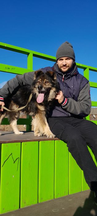 Отдам Собаку добрые руки