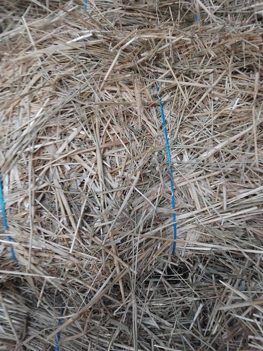 De vanzare balotati de paie