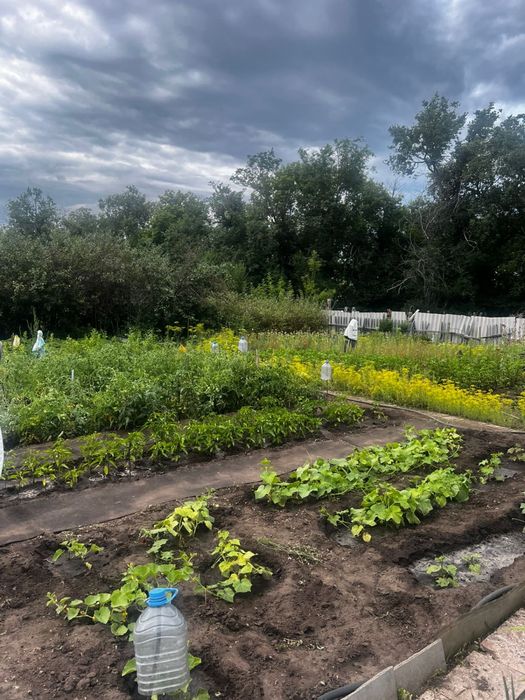 Продается дача СО «Монтажник»