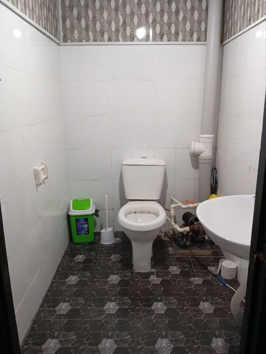 Катеж в отличном састаяние