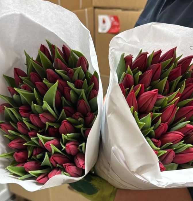 Предлагаю пионовидные тюльпаны.