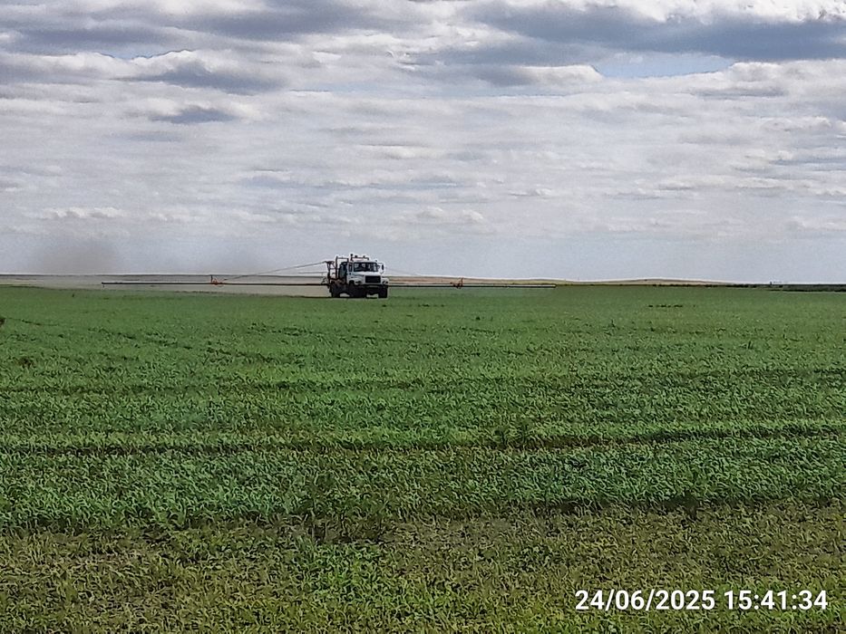 Действующее крестьянское хозяйство.