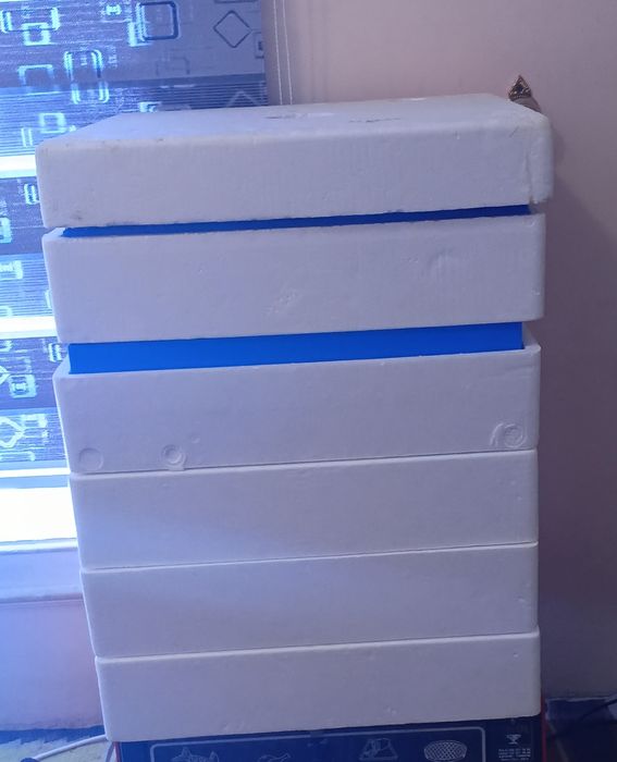 Enkibator sotiladi holati yangi