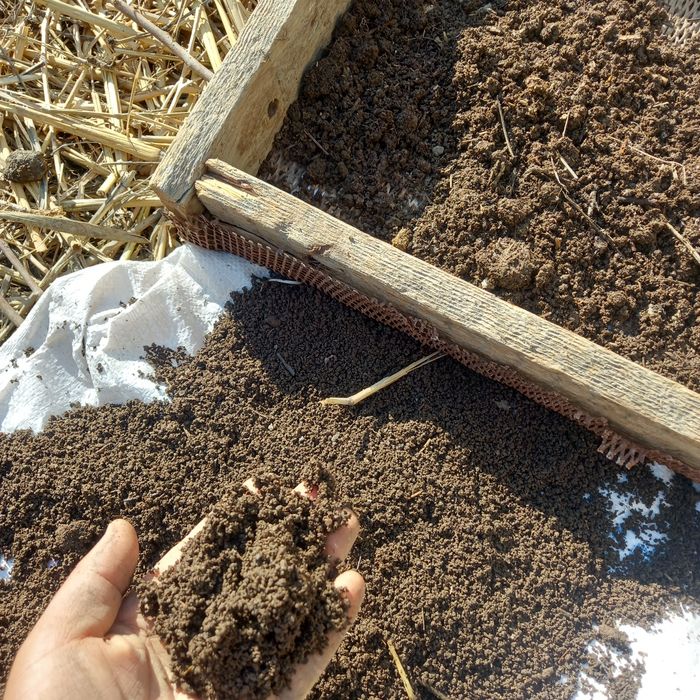 Биёгомус сотилади 1000 сум