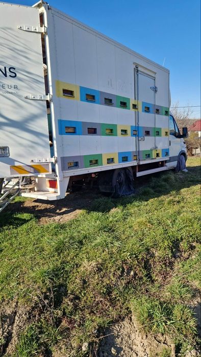 Stupină de vânzare