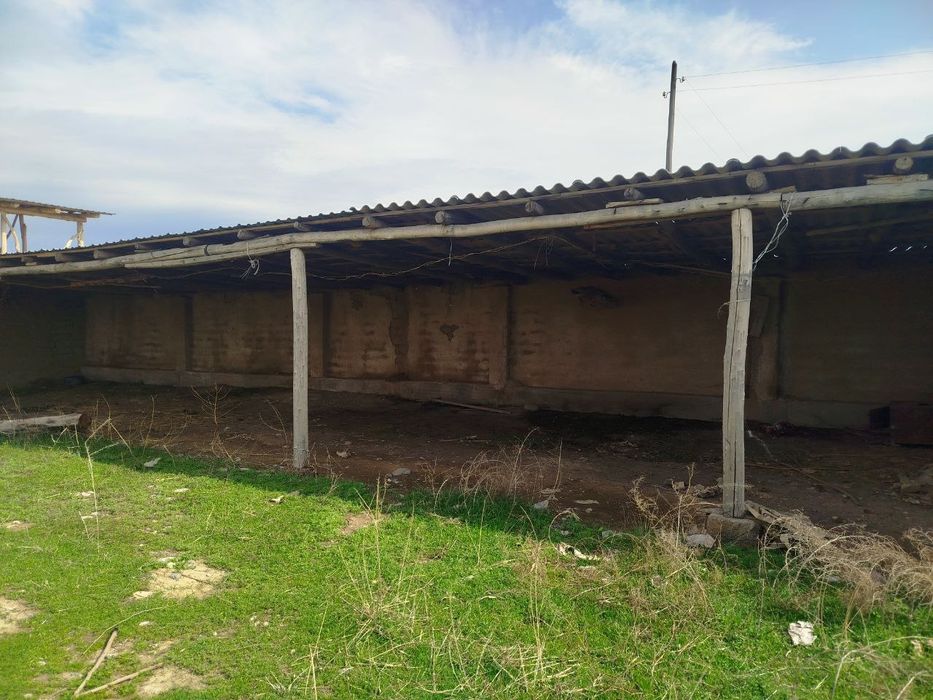 Срочно сотилади ферма Босталик районуда Таваксайда ферма яхши жойда