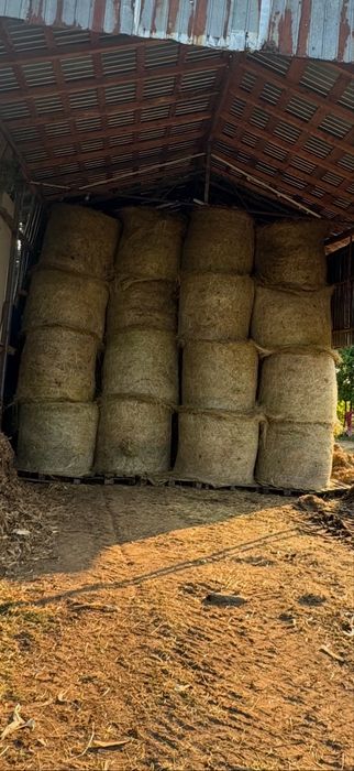 Baloti dreptunghiulari - baloti rotunzi si cereale