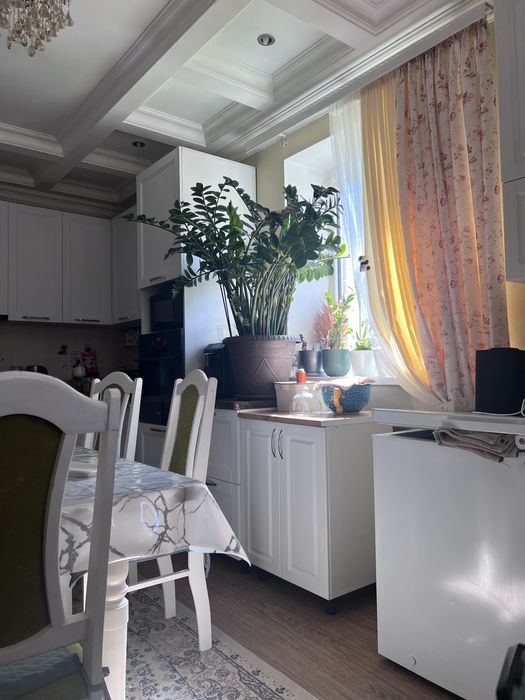Замиокулькас долларовое дерево в Косшы