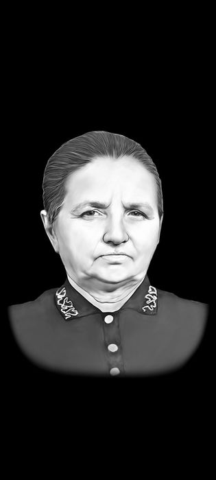 Ретушь на памятник