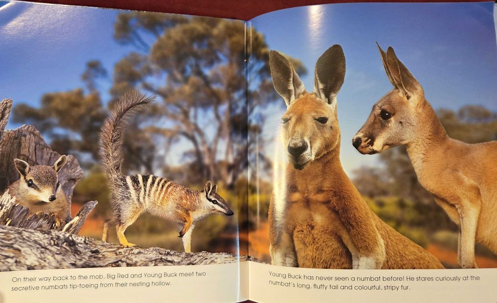 Кенгуруто. Фото-разказ / Living With the Mob