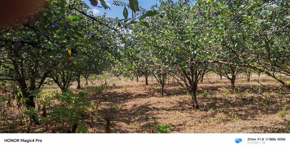 Продава се Къща в с. Кочово, Област Шумен - 60 кв.м за 366 €/кв.м - Снимка #7