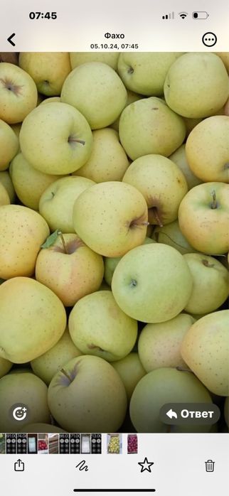 Яблоки Золотой, Американка