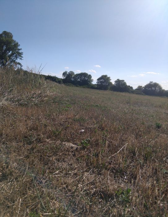 Продава парцел в гр.Дупница