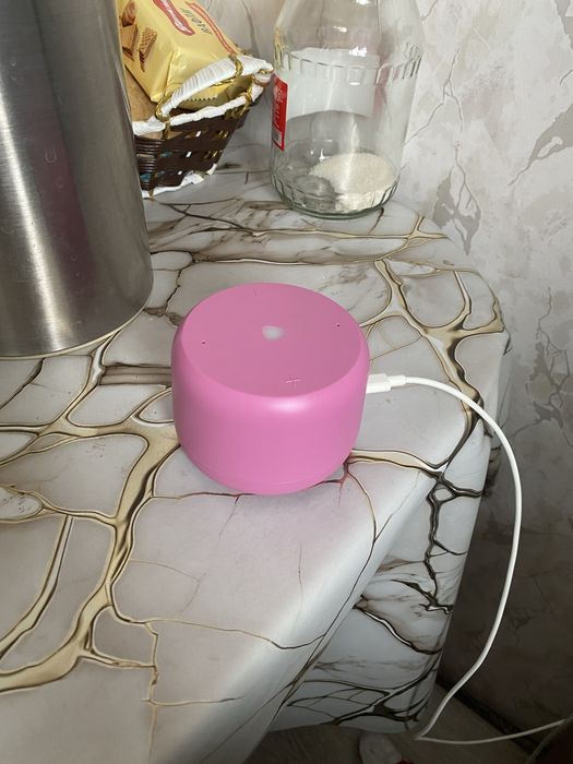 Продам Алису за 25 тысяч