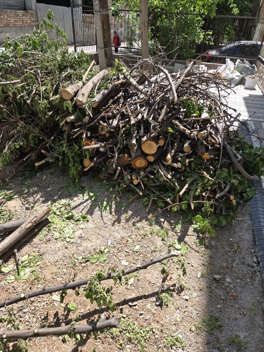 Отдам дрова даром