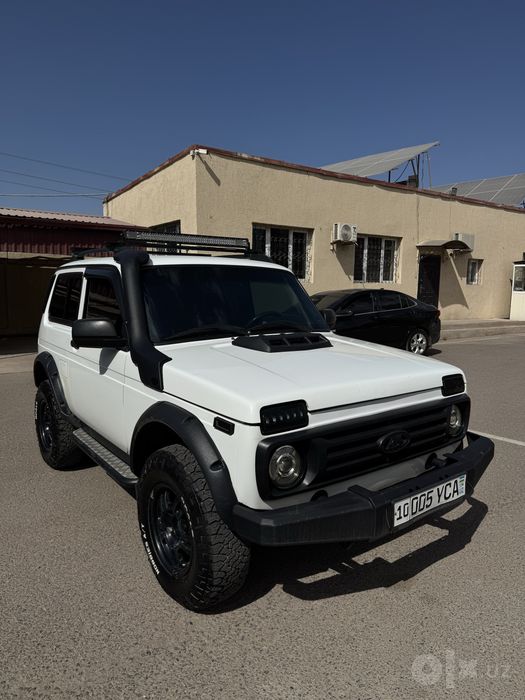 Niva.     bronto