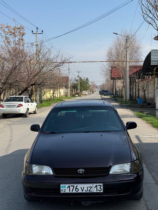 Карина е продается