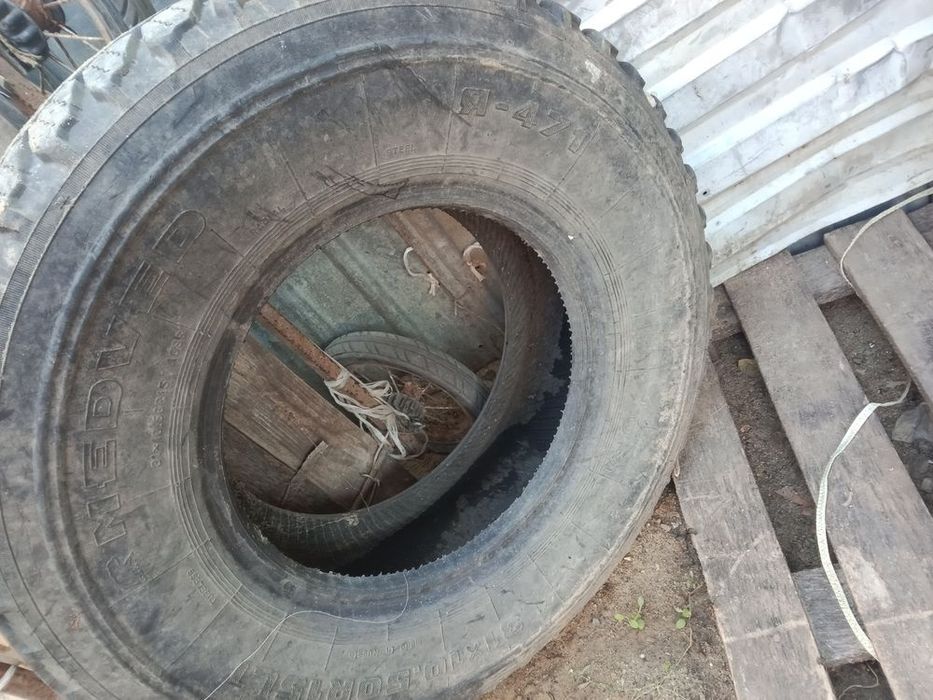Продам шины 6000
