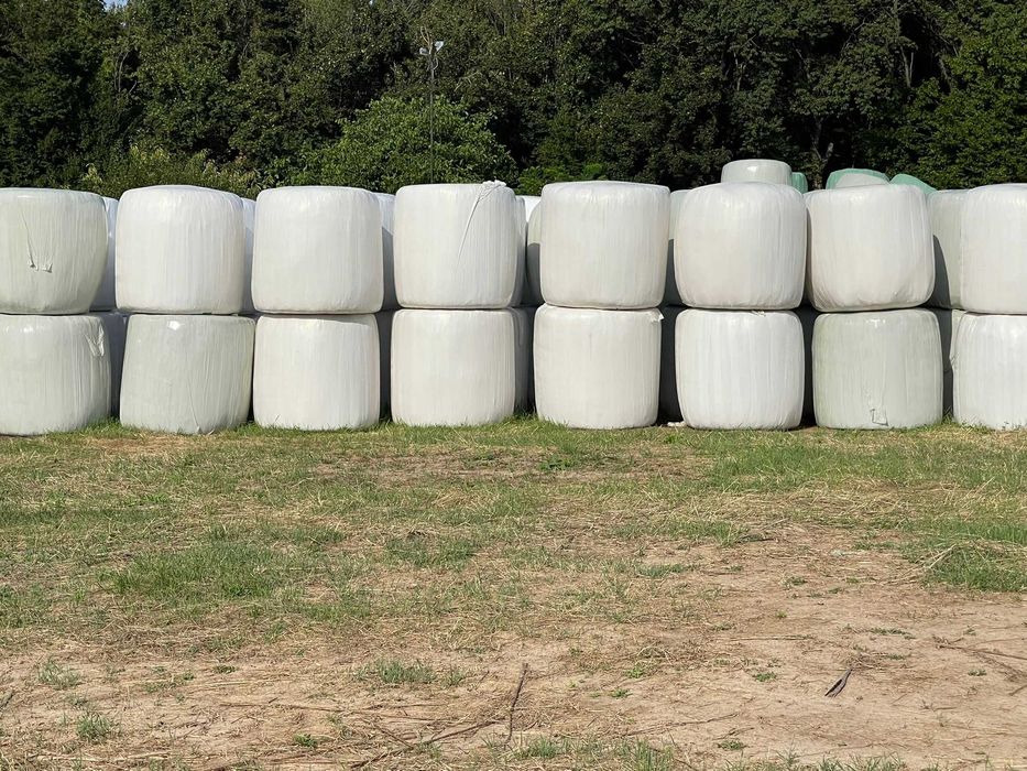 Baloti lucerna eco infoliati - semifân - siloz sau fan pret/kg