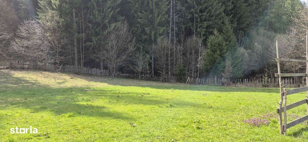Teren intravilan de vânzare, 4096 mp, acces asfaltat
