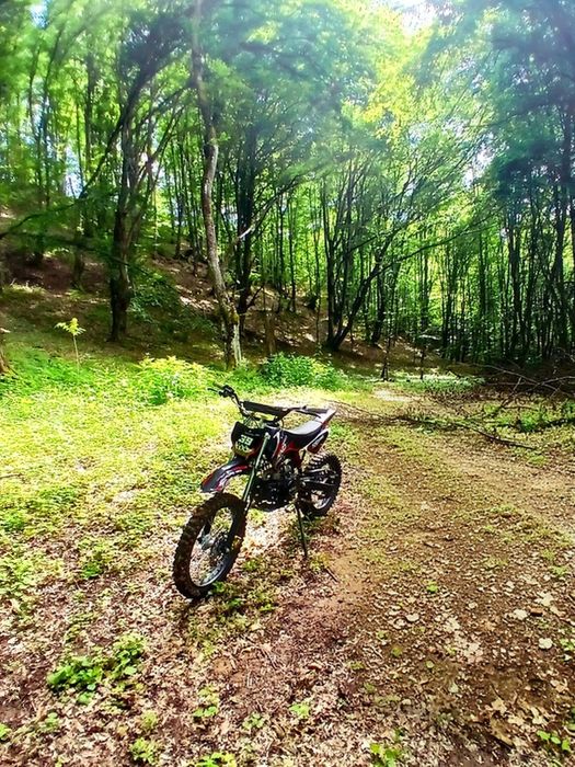 Cross 125 cc talie mijlocie