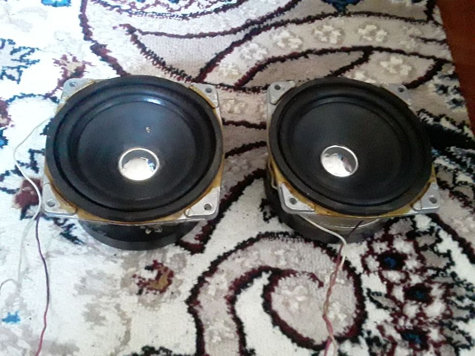Калонка от маяка 10гдш 400. Динамики 10гд 300.