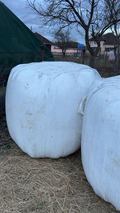 Vand 3 baloti de lucerna infoliata