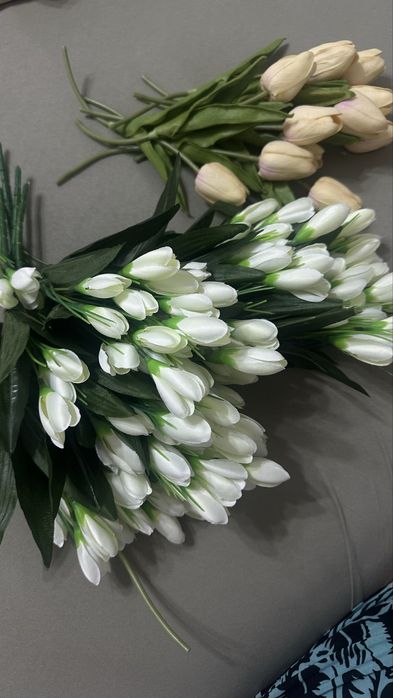 Тюльпаны, подснежники