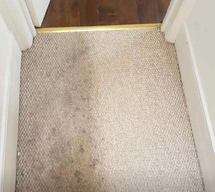 Curatare canapea, saltea, covor