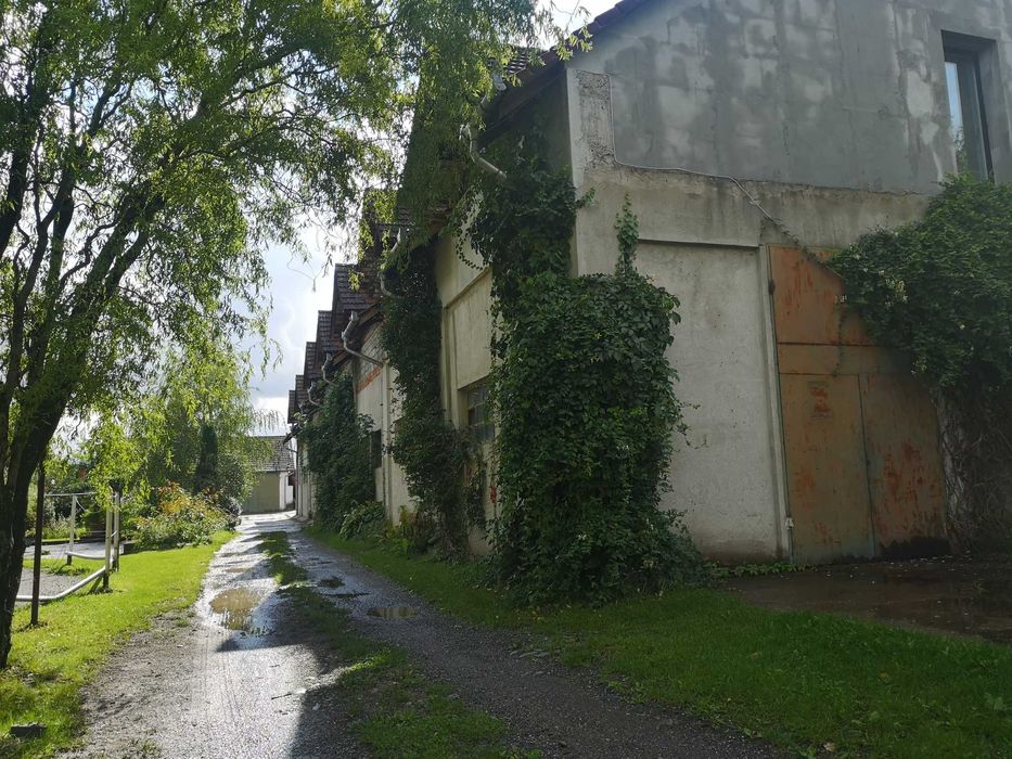Teren intravilan 1 ha in Reghin, cu clădiri industiale, hală productie