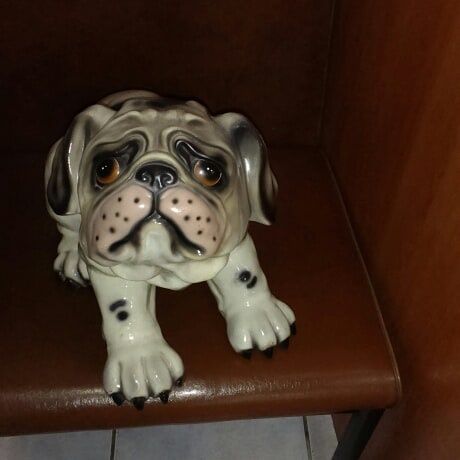 Собаки фен шую интерьер