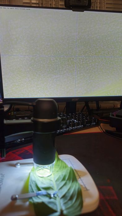 USB дигитален микроскоп DBPOWER с 300x увеличение и 5MP сензор