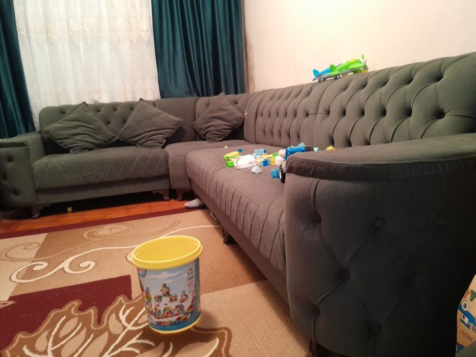 Угалок Честр срочно продаётся