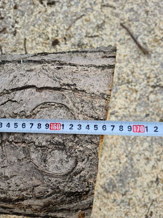 Продавам ствол от орех