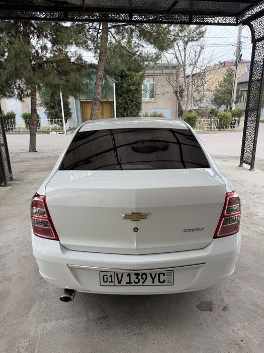 Kobalt 2023 4-Pazitsa