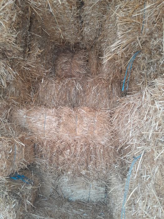 Baloț de lucernă și de paie