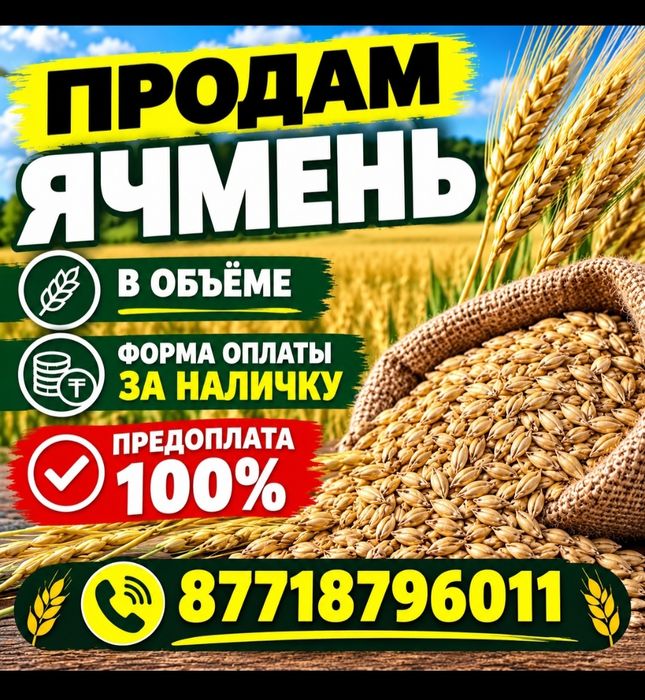 Продам ячмень большой объем