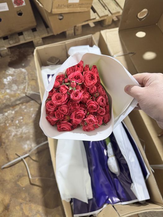 Цветы оптом Розы