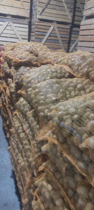 Vand cartofi samanta