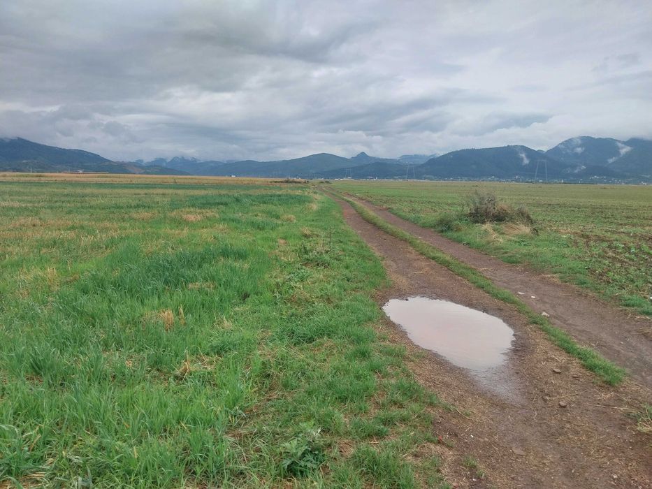 Teren intravilan si extravilan, 33100 mp, Tarlungeni, 200000 euro