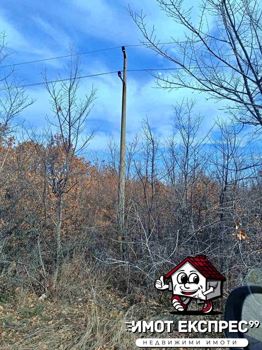 Продава се Парцел в Асеновград - 8609 кв.м за 10 €/кв.м - Снимка #17