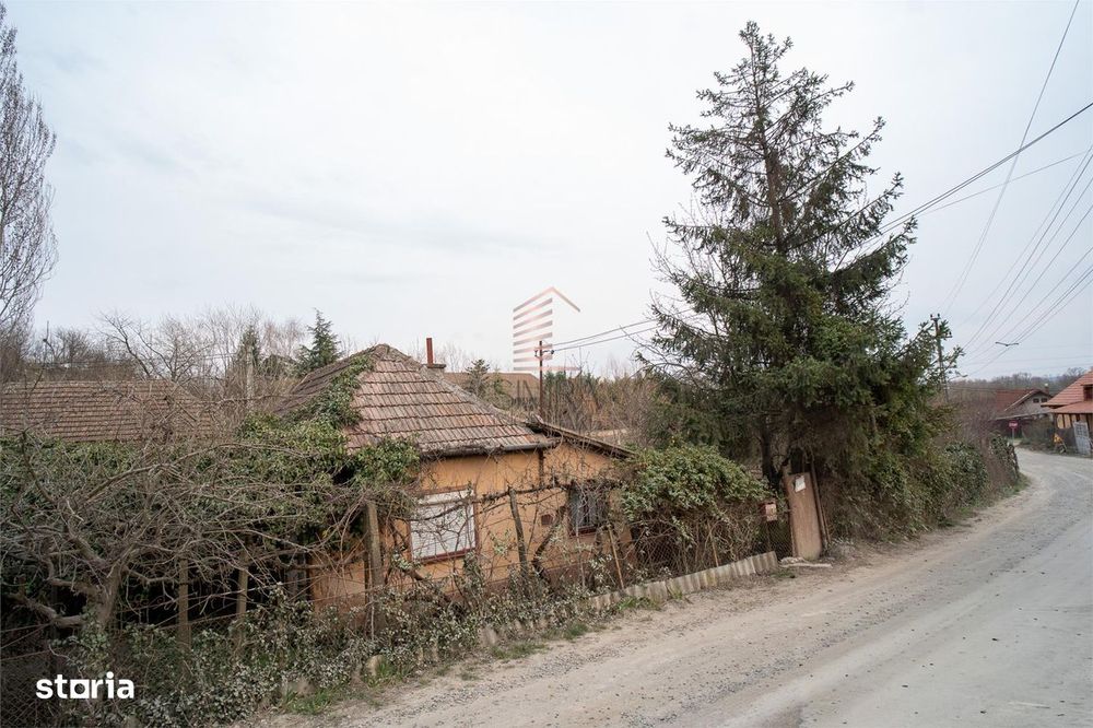 Teren intravilan de 900 mp, Podgoria