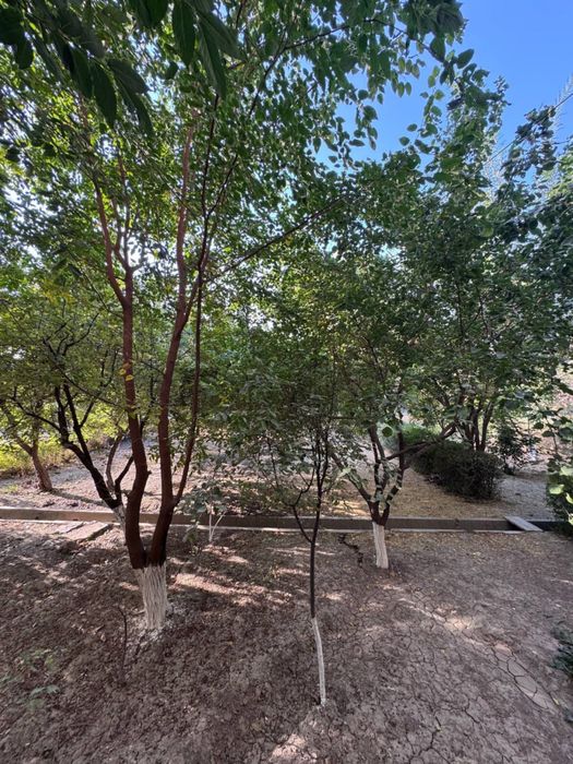 N5935 Olmazor tumani Medgorodok 3/1/4