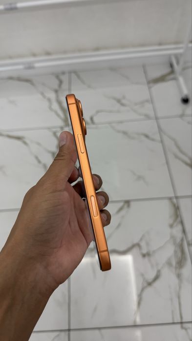 Apple 17 pro max