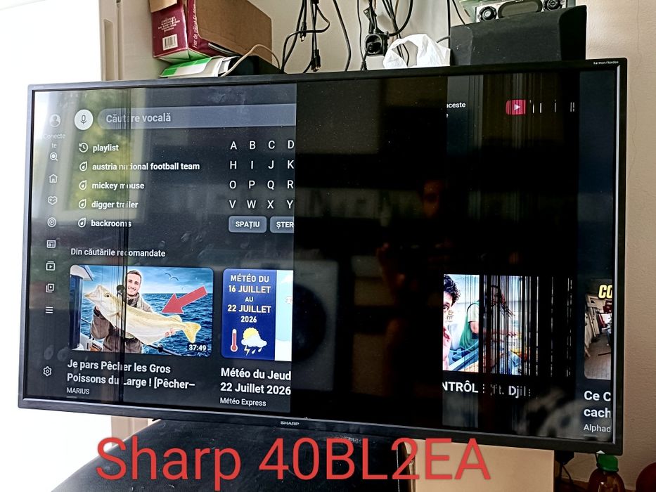 Tv Sharp 40bl2ea defect