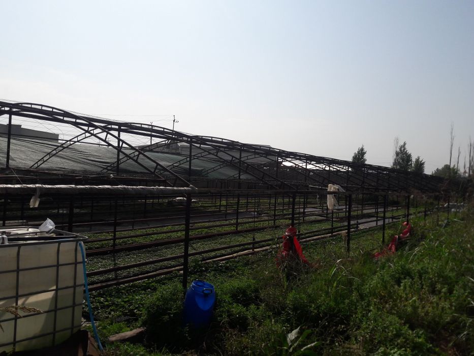 Zangiota tumanida yer sotiladi 1sotixi 35ming $