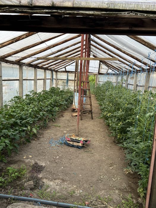 Casa Lacu Sarat Braila