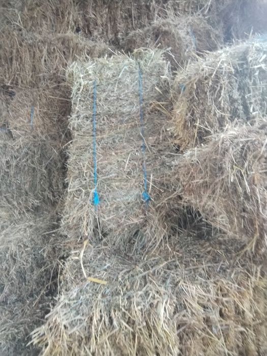 Vind baloți otavă și fin dreptunghiulari