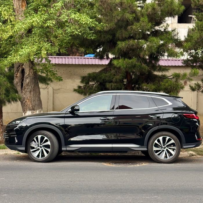 BYD Champion gibrid Ideal