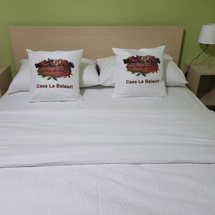 Casă de închiriat în regim hotelier!